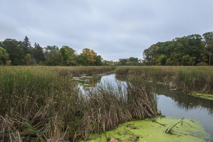 Panoramic Image of Minnetonka, MN